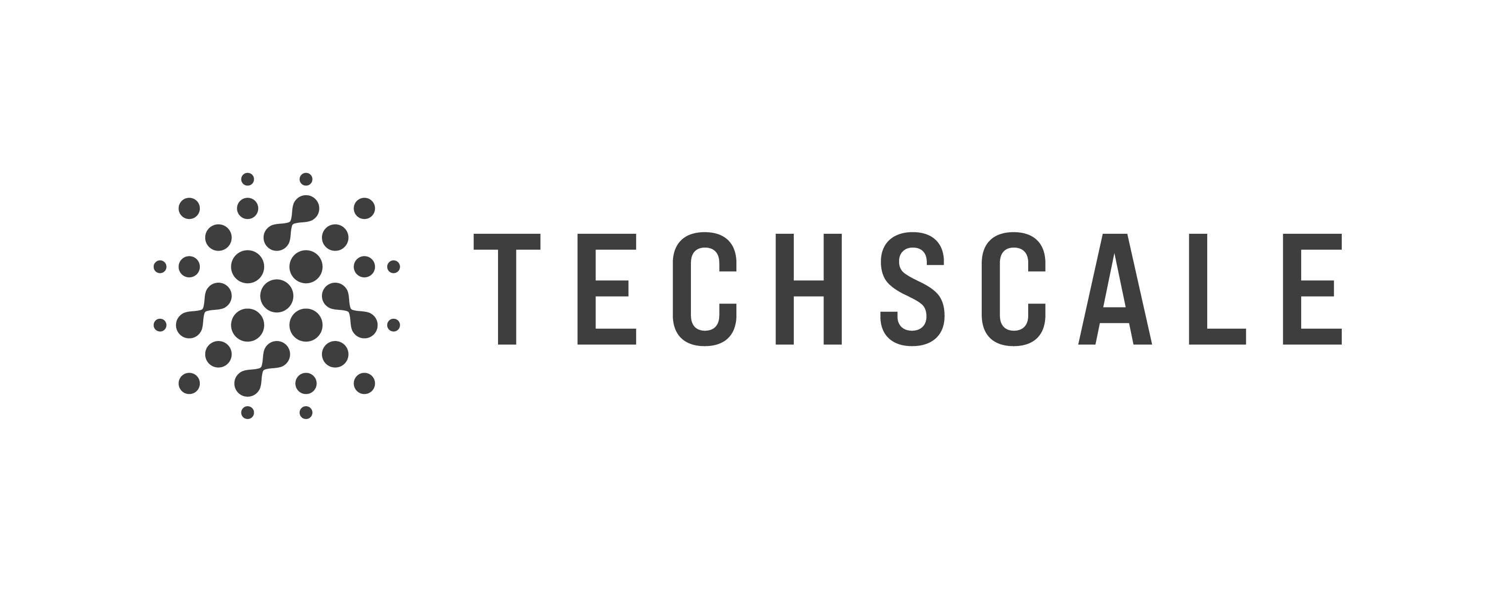 TECHSCALE project logo