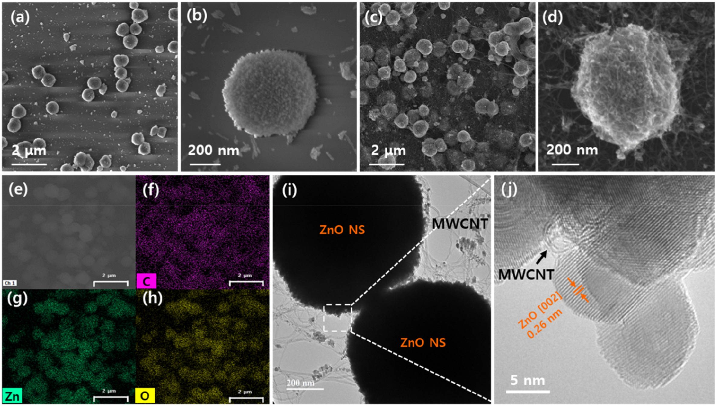 ZnO nanosphere–MWCNT composite photoanode