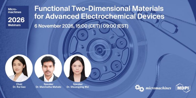 Functional Two-Dimensional Materials for Advanced Electrochemical Devices