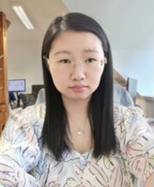 Theoretical Investigation of Zeolite Hydrolysis and Properties